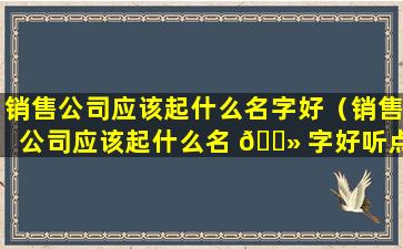 销售公司应该起什么名字好（销售公司应该起什么名 🌻 字好听点）